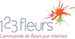 Offres et les réductions chez 123 Fleurs